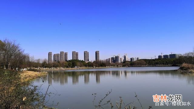 孤独 纠缠不是爱,而是占有欲;爱应该是尊重和信任