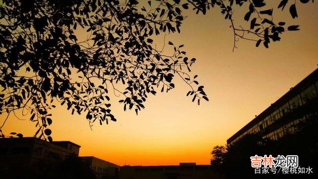 孤独 纠缠不是爱,而是占有欲;爱应该是尊重和信任