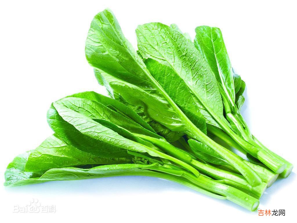 广东菜心的做法大全  菜心的烹饪方法