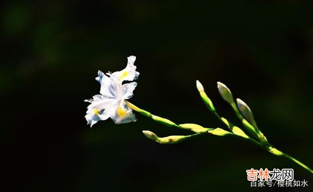 感情经得起风雨 有所求的情分，是利益的共存；无所求的情分，是爱的共存