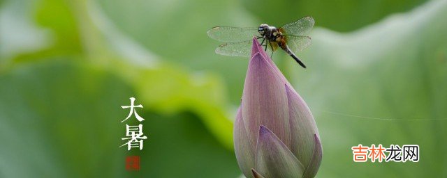 大暑节气的含义是什么意思 大暑节气有什么含义
