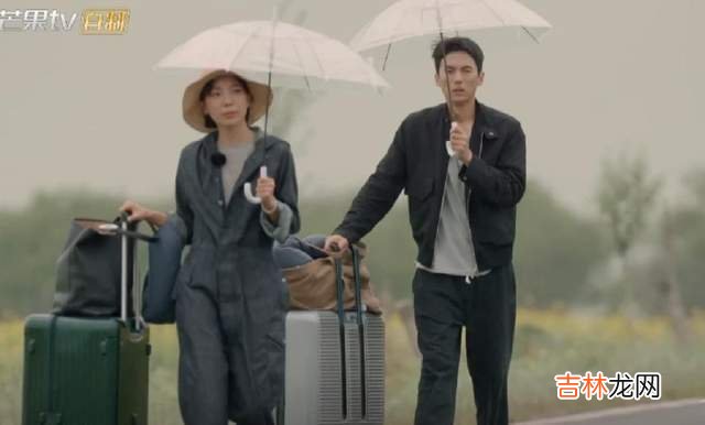 《再见爱人》张婉婷为什么不幸福？