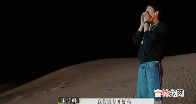 《再见爱人》张婉婷为什么不幸福？