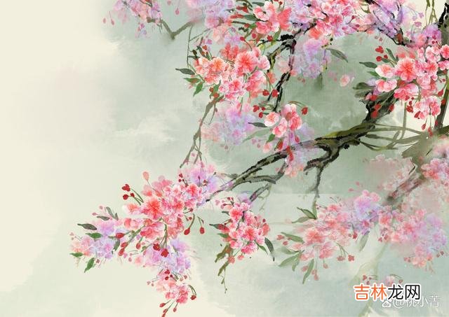 在与人交往的过程中 随礼这件事，没有硬性的规定，看的是彼此之间的关系