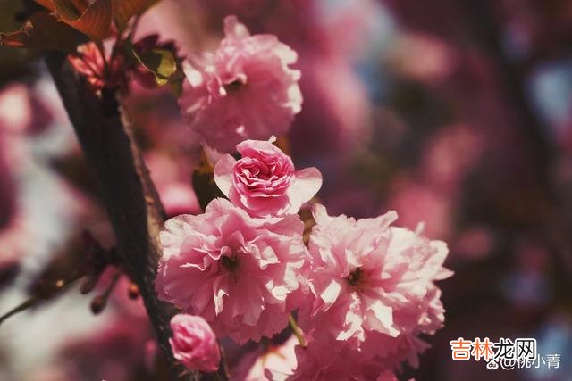 1-朋友小萍和相恋五年的男友分手了 分手后，对方不删除你的微信，意味着他想炫耀自己的新生活