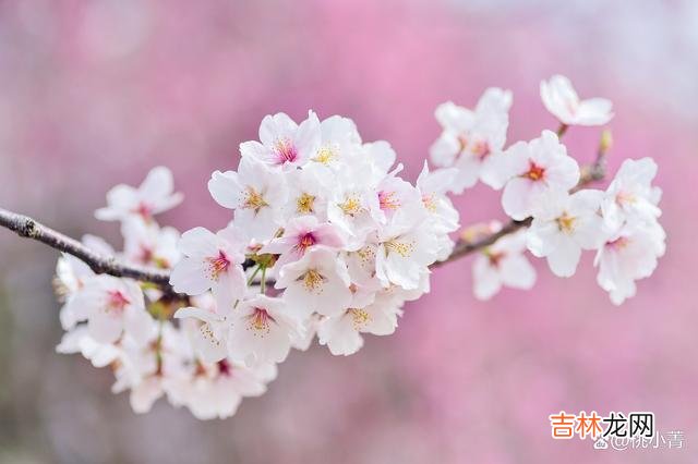 1-朋友小萍和相恋五年的男友分手了 分手后，对方不删除你的微信，意味着他想炫耀自己的新生活