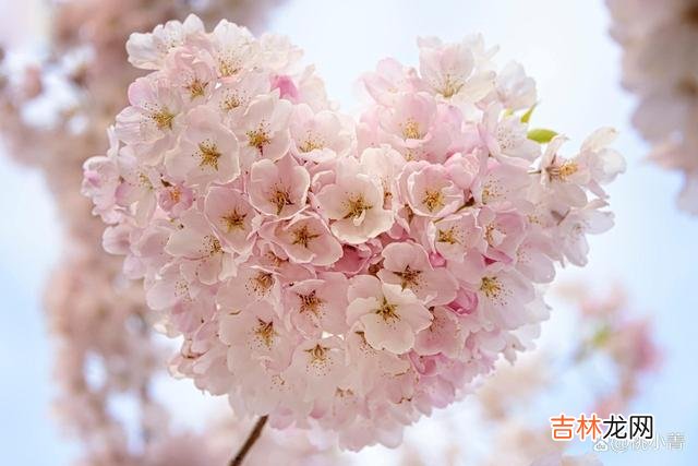 1-朋友小萍和相恋五年的男友分手了 分手后，对方不删除你的微信，意味着他想炫耀自己的新生活