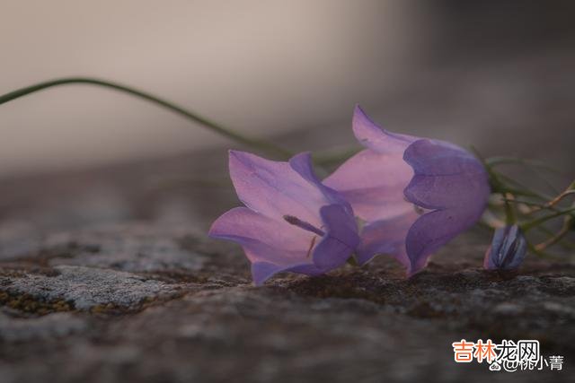 我们想象中的感情 感情里，另一半突然对你很冷漠，大致可以分为这三个原因