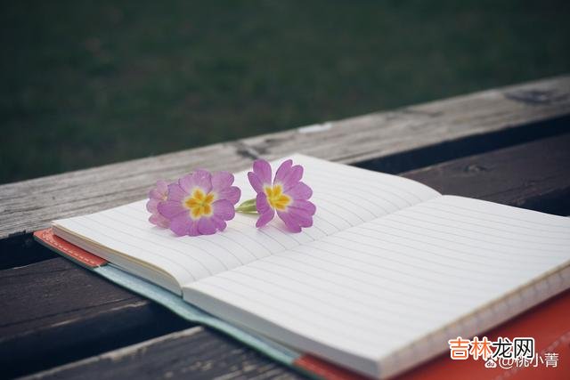 罗曼罗兰曾经说过:“没有志向的青年 在职场与人交往,需要你时刻保持清醒,不能被情感左右