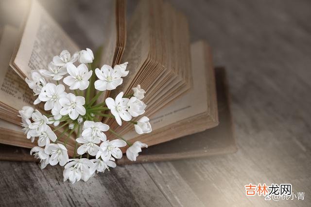 -01-老话说:“会说话是修养 身在职场,管住嘴才是最聪明的做法,懂得谨言慎行,前途才会光明