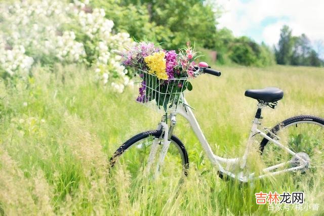 前言：这是一个感情泛滥 想在短时间内放下一个人，那不妨试试这三步