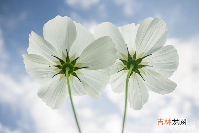 有读者来信问我：“我究竟要怎么做 放下一个人最好的办法，就是爱上一个新的人