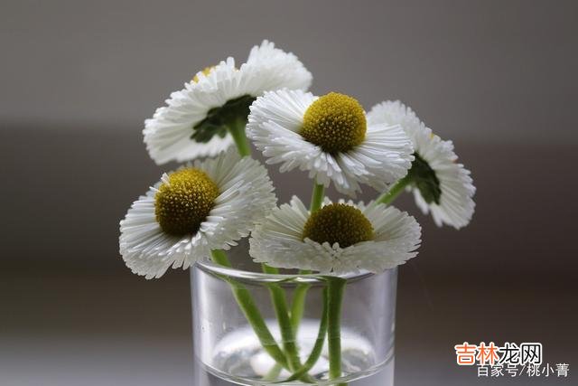 有读者来信问我：“我究竟要怎么做 放下一个人最好的办法，就是爱上一个新的人