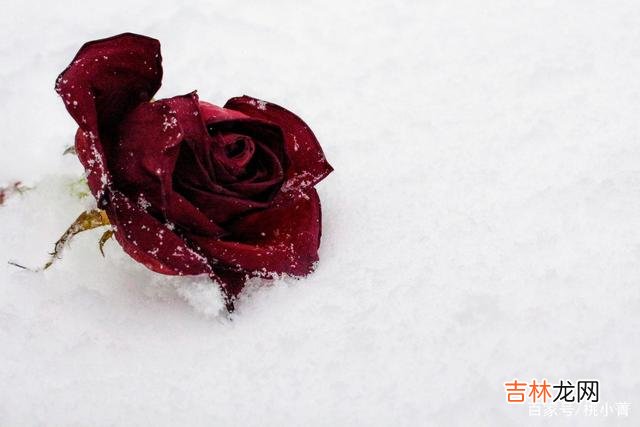 01-男女之间的感情 有些事，一旦做了，只会让你离幸福更远
