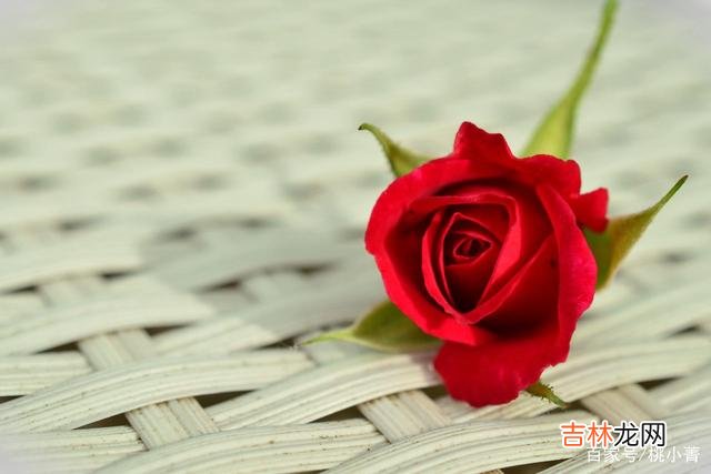 01-男女之间的感情 有些事，一旦做了，只会让你离幸福更远