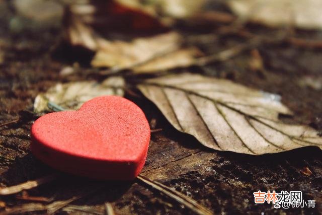 如果把人生比作一首歌 深入骨髓的爱，是最深沉的爱，无论岁月如何变迁这份爱都不会消失