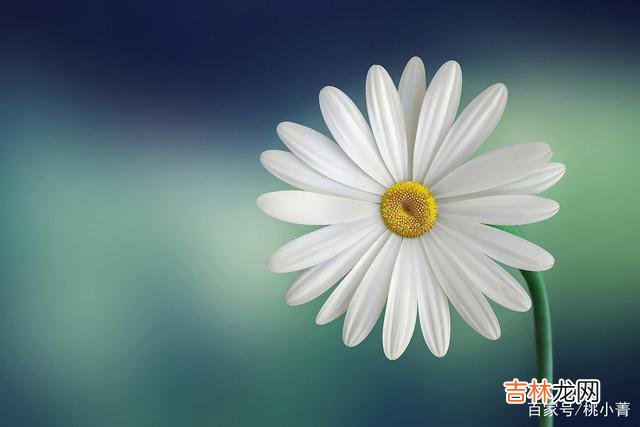No.1很多人都觉得好命是天生的 我们有理由相信，一个人的好命，是自己带来的