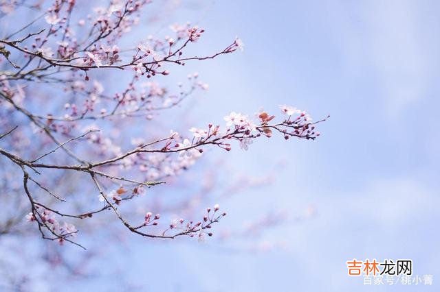 No.1很多人都觉得好命是天生的 我们有理由相信，一个人的好命，是自己带来的