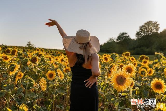 有读者问过我这样一个问题：“为什么有的女人轻而易举就能让男人戒不掉 一个女人能够让男人爱到戒不掉，必然有着别人难以超越的过人之处