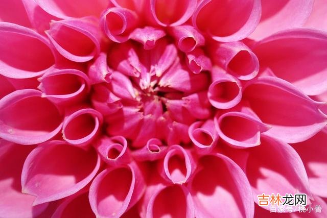 小菁常常听到一些女人抱怨 你不想失去男人的爱，你就必须要好好提升你自己的价值