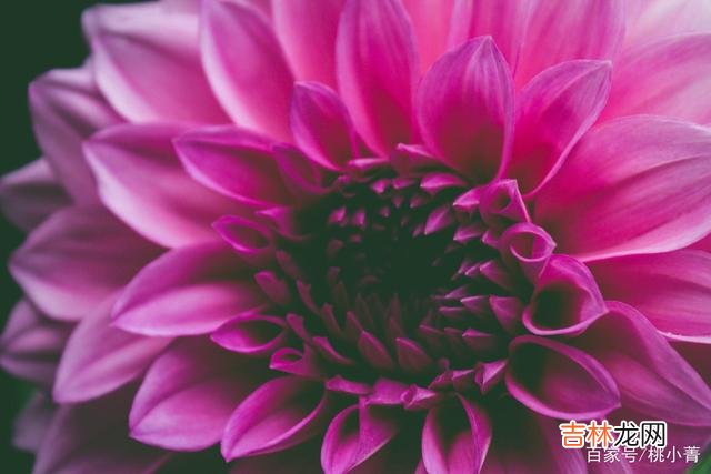 小菁常常听到一些女人抱怨 你不想失去男人的爱，你就必须要好好提升你自己的价值