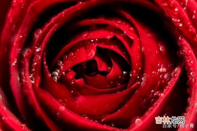 小菁常常听到一些女人抱怨 你不想失去男人的爱，你就必须要好好提升你自己的价值