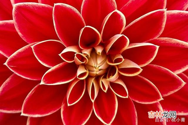 小菁常常听到一些女人抱怨 你不想失去男人的爱，你就必须要好好提升你自己的价值