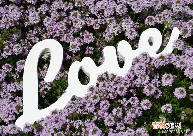 男女之间的感情就像是一条抛物线 只有有效规避风险，经营感情才不会出现问题