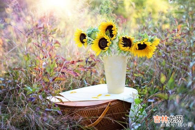 No.|被人算计时，别急着翻脸，学会自我反思，力求变得更好