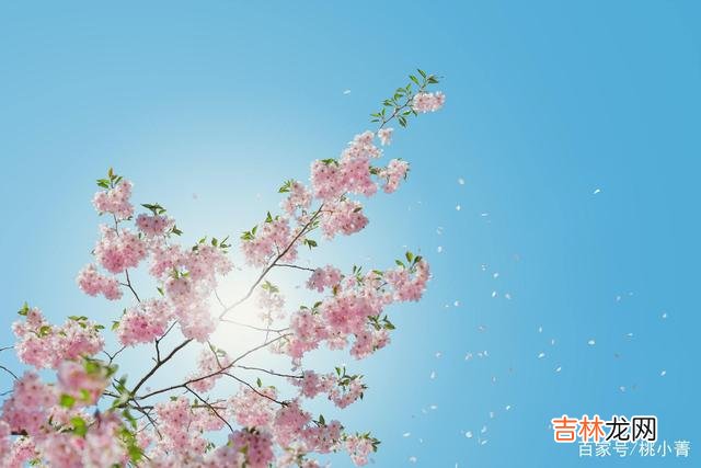 人生在世,能得此理解与懂得,才是你最大的收获