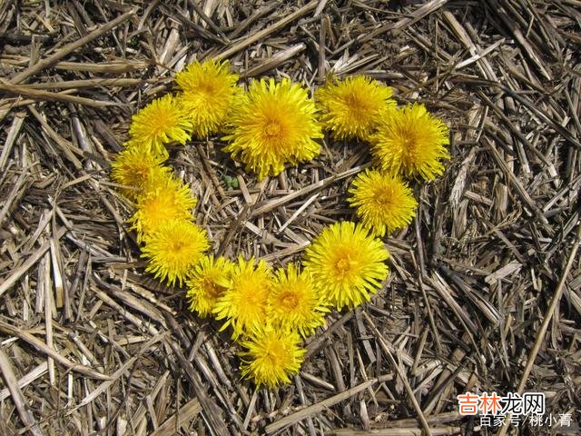 在你失恋的情况下，女人主动联系你，代表她已经爱上你了