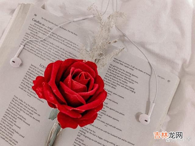 小菁曾经做过一个调查 想要彻底忘记一个人，应该好好去谈一场恋爱