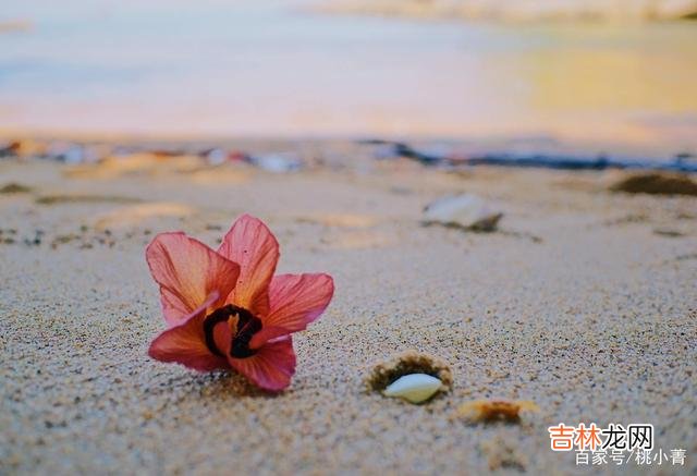老话说“男怕入错行 抓住这些细节，就能知道你所爱的人，是不是你的最佳选择