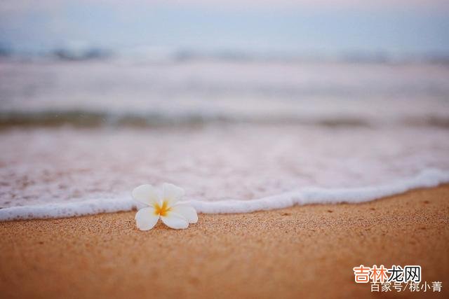 老话说“男怕入错行 抓住这些细节，就能知道你所爱的人，是不是你的最佳选择