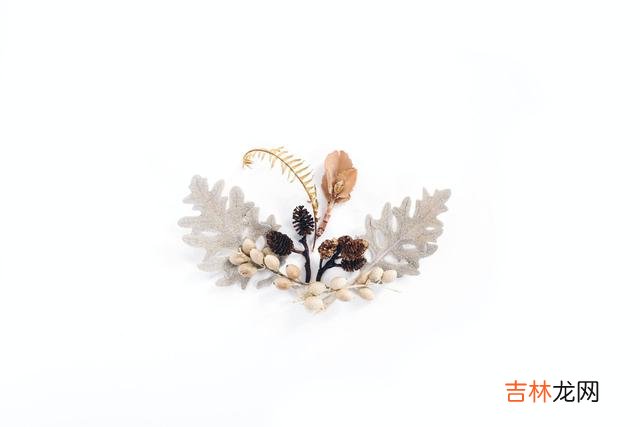 NO.1有不少女人认为 女人后半生最大的靠山，从来都不是别人，而是自己