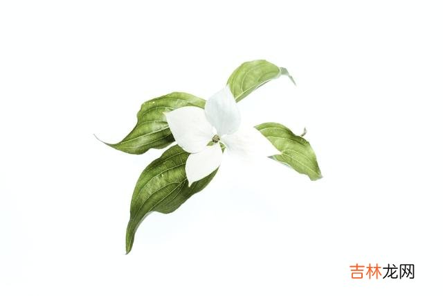 NO.1有不少女人认为 女人后半生最大的靠山，从来都不是别人，而是自己