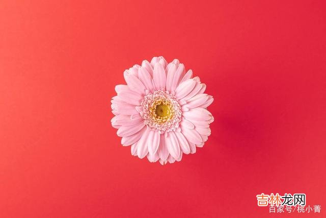 -01-对于每一个动了情的女人来说 只有建立在懂得之上的爱，才真正能够长久不变地发展下去