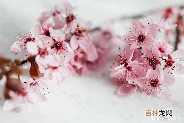 都说女人怕老 男人的桃花运，与年龄无关，与个人本事有关