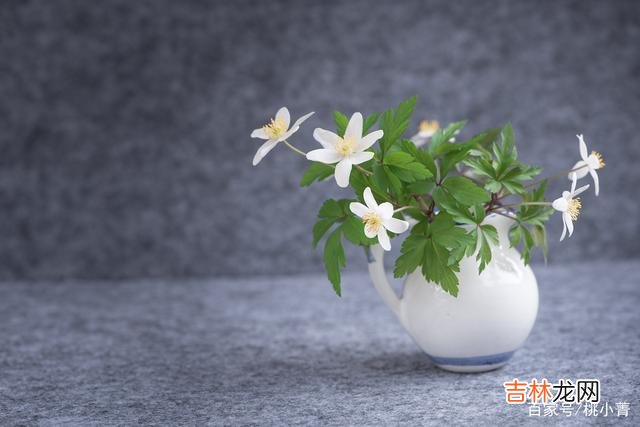 三毛说：“我相信 和男人断联一次，你就能知道他有多在乎你