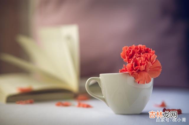 三毛说：“我相信 和男人断联一次，你就能知道他有多在乎你
