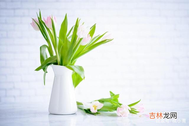 三毛说：“我相信 和男人断联一次，你就能知道他有多在乎你