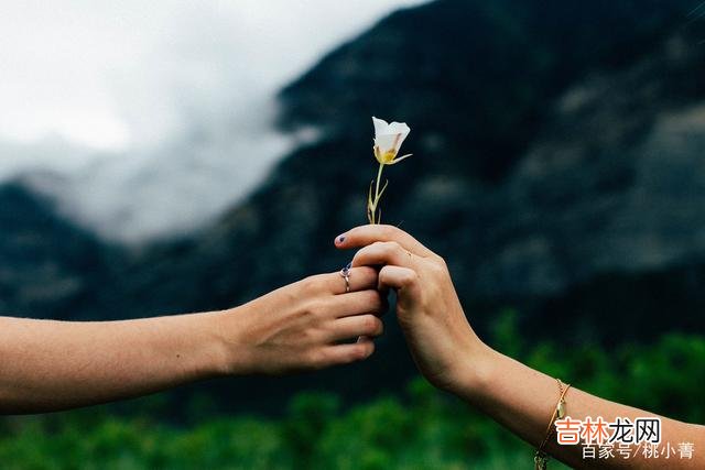 01-亚米契斯在《爱的教育》一书中写道：<strong...|甘愿为你付出一切的男人，是你最大的幸福，请好好珍惜这份真情