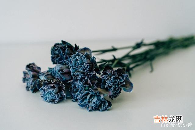 终于明白，入了心的人，根本就忘不掉，也放不下