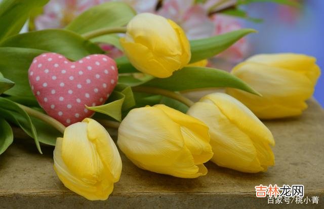 想要套牢男人的心，与其付出，不如“借力”