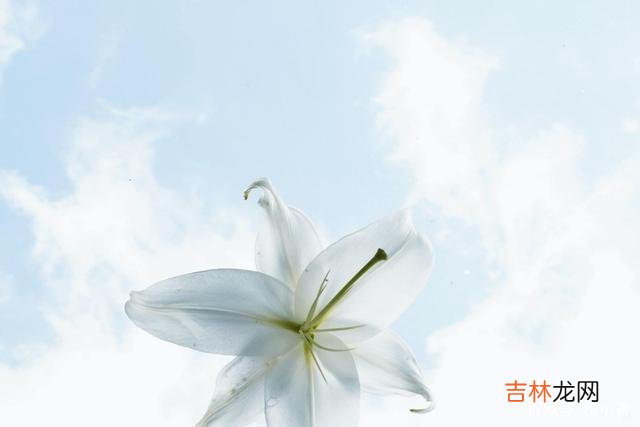 人这一生 后半生最好的活法，藏在“少说多做”这四个字里