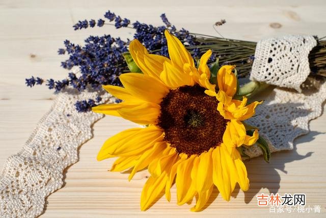 漫漫人生路 人活一辈子，总要承受过苦难的冲击，才真正能够算得上圆满