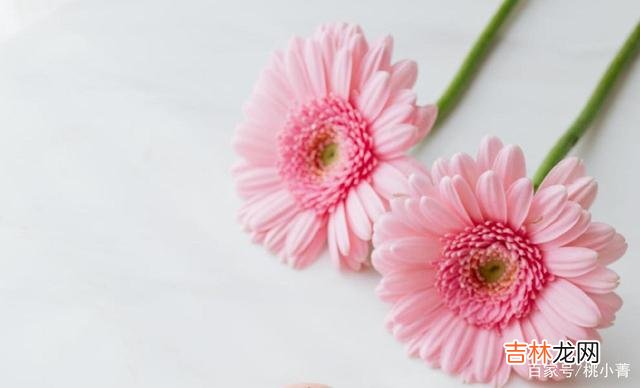 爱情就好比一颗埋在土里的种子 请别着急,多给爱一些时间,让它慢慢生根发芽吧