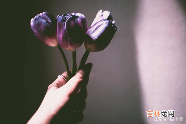 人与人之间的相遇是缘 存在于婚姻之外的感情，再美也只能放手