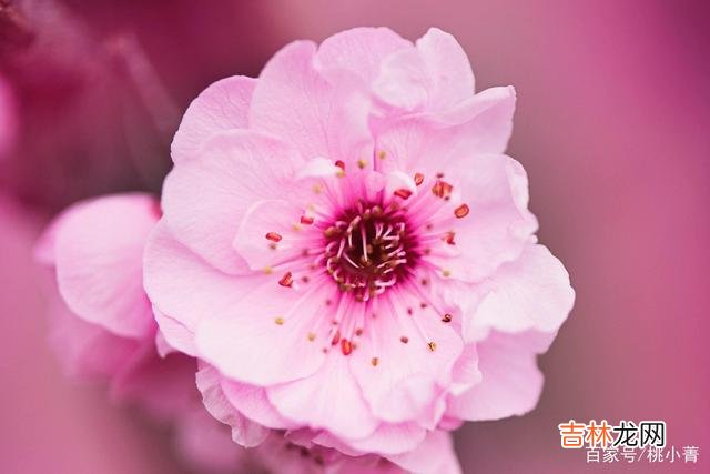 有人说过这样一句话:“越有钱的人越抠门 人活着,抠门一点其实没什么不好,至少不会让你失去所有