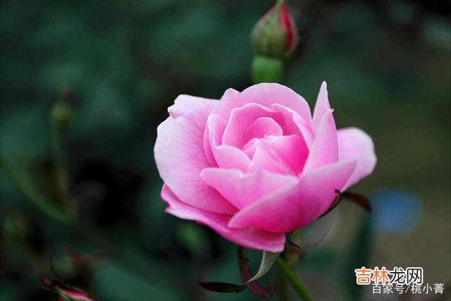 有人说过这样一句话:“越有钱的人越抠门 人活着,抠门一点其实没什么不好,至少不会让你失去所有